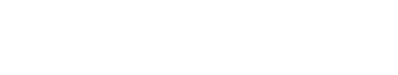 DSI Logo